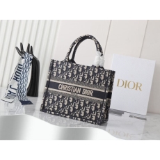 Christian Dior Shopping Bags